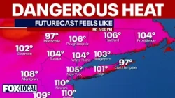 NYC hits 100°: Electric grid strained as temps hit triple digits