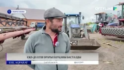 СҚО да егін орағы науқаны басталды