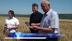 Farmers in Soroca have begun the harvest