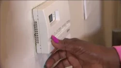 Latest News | Energy assistance demand remains high amid extreme heat