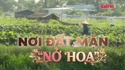 Where Saline Soil "Blooms" | CT-TDT