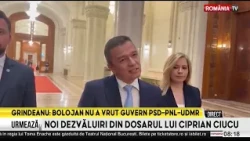 Sorin Grindeanu set to be appointed Prime Minister with piece-by-piece negotiated votes from AUR ...