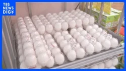 "312 Yen per pack": Average egg prices hit record high; imported beef and chicken thighs also tie...