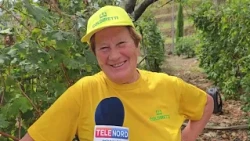 Hail and wind, assessing the damage in Ligurian fields: harvest destroyed in Campo di Nè