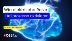 When the Brain Heals: How SOZO Therapy Regenerates the Nervous System | Natural Medicine | QS24