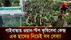 No More Worries! All Agricultural Services Under One Roof for Farmers in Gaibandha | Bangla TV