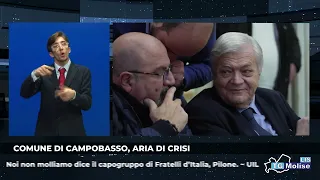 TG LIS del 29/06/2026