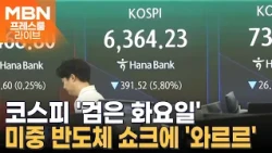 美 반도체 급락·中 반도체 공습에 코스피 8% 폭락…올해 8번째 서킷브레이커 [프레스룸 경제라이브]
