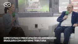 Impactos do setor de cavalos na economia brasileira