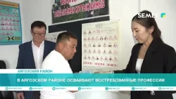 Mastering In-Demand Professions in the Ayagoz District
