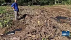 80+ Oahu farms still struggling after months of repeated storms