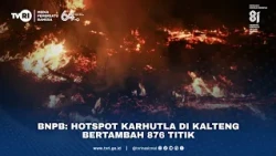 BNPB: Hotspot Karhutla Di Kalteng Bertambah 876 Titik
