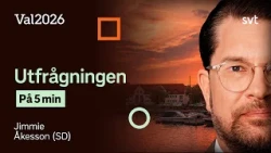 Utfrågningen på 5 minuter: Jimmie Åkesson (SD)