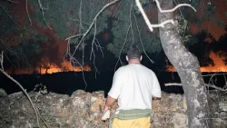 The country's complaint: "Fewer pastures and pine trees, more firebreaks"