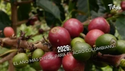2026: The most difficult year for Colombian agriculture - TvAgro by Juan Gonzalo Angel