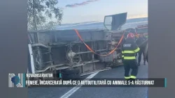 Woman trapped after livestock van overturns