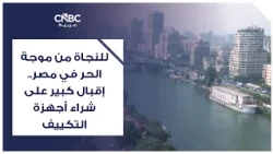 Surviving the heatwave in Egypt: A surge in air conditioner sales