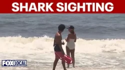 9-foot shark spotted at Long Island beach, first sighting of season