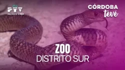 🌴 TERRAZA DE VERANO HD | #CTVÉ1639 | Zoo, Distrito Sur, fisioterapia... ¡Y mucho más! | 28 jul
