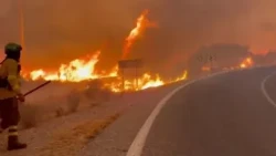 Spagna, vasto incendio nei boschi dell'Andalusia: almeno 11 le vittime