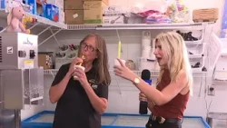 Summer Festival at Mt. Airy Orchards aims to raise funds for Dauphin County food pantry