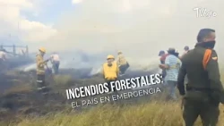 Forest fires: The country in a state of emergency - TvAgro by Juan Gonzalo Angel