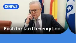 Albanese asks Trump for tariff exemption in ‘productive’ phone call | ABC NEWS