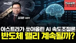 [1% Perspective, Investment Angle] The AI slowdown debate sparked by Astra... Will the semiconduc...