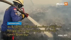 အယ်နီညိုကြောင့် အင်ဒိုနီးရှားတွင် တောမီးများ အရှိန်ပြင်းလာ