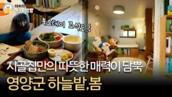 누군가의 집이 동네 책방으로🏡📚 고요히 하루를 보내고 싶다면? | 영양군 하늘밭,봄