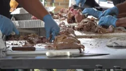 44th Annual Odyssey Greek Festival at St. Barbara Greek Orthodox Church is happening now