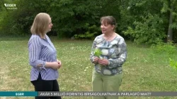 Akár 5 millió forintig bírságolhatnak a parlagfű miatt - 2026.07.23.
