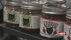 KELOLAND Living Arts & Crafts Show underway in SF