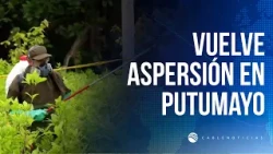 Policía Antinarcóticos confirma plan piloto de aspersión aérea con glufosinato de amonio