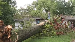 Wednesday night's storms causes damage throughout parts of Lebanon County