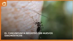 ¿Una vez que una persona tiene chikungunya, puede volver a contraer la enfermedad?
