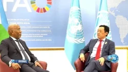 Djibouti et la FAO renforcent leur partenariat stratégique pour la sécurité alimentaire et le climat