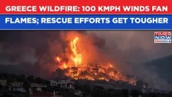 Greece Wildfire: 100 Kmph Winds Fan Flames Through Halkidiki | Tireless Rescue Operation | Watch