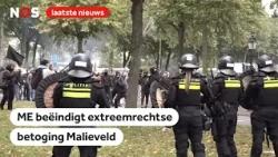 Violence at far-right demonstration in The Hague