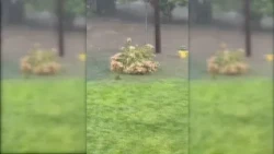 Heavy rain in Connecticut causes flooding, prompts over a dozen vehicle rescues