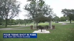 Officials ID 18-year-old killed in Crest Hill park shooting; 3 other teens injured