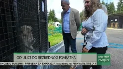 Od ulice do bezbednog povratka, Prihvatilište za pse i mačke ostvaruje značajne rezultate