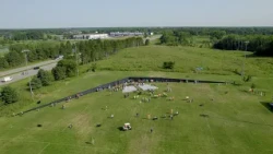 The Wall That Heals