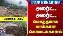 TN Rain | kodaikanal  | அலர்ட்.. அலர்ட்.. - மொத்தமாக லாக்கான கொடைக்கானல்