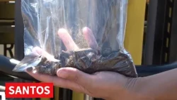 ANALIZA ZEMLJIŠTA VREDNA 3,250.000 DINARA