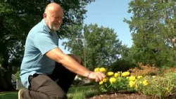 How I Care: Michael Andruczyk, Agriculture Department