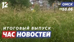 Overgrown streets / Abandoned cafe demolition / Parachuting. Omsk news