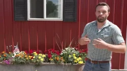 Alliant Energy solar project draws farmer concerns in Winnebago County