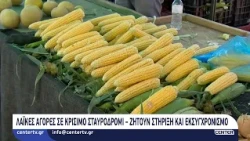 Λαϊκές αγορές σε κρίσιμο σταυροδρόμι – Ζητούν στήριξη και εκσυγχρονισμό