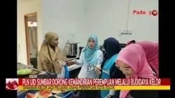 PLN UID WEST SUMATRA EMPOWERS WOMEN THROUGH MORINGA CULTIVATION syawal